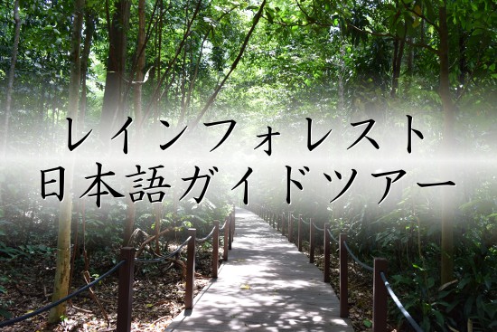 シンガポール植物園の無料日本語ガイドツアー