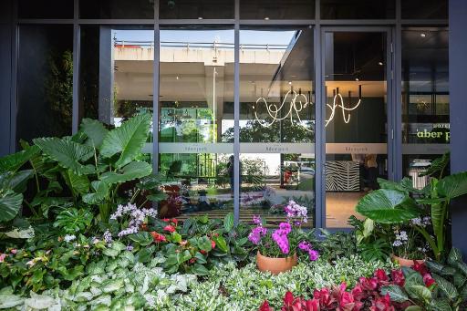 植栽越しのガラス張りの入口