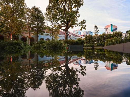 庭園の植栽と水景