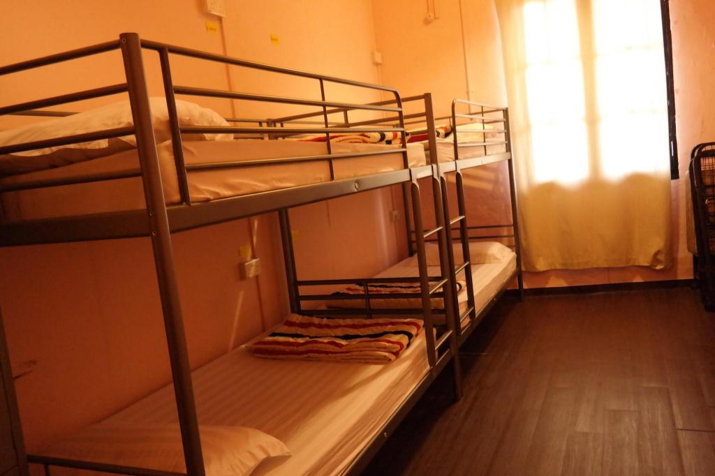 ドミトリールーム 男女共用 ベッド計10台のベッド2台 (2 Beds in 10-Bed