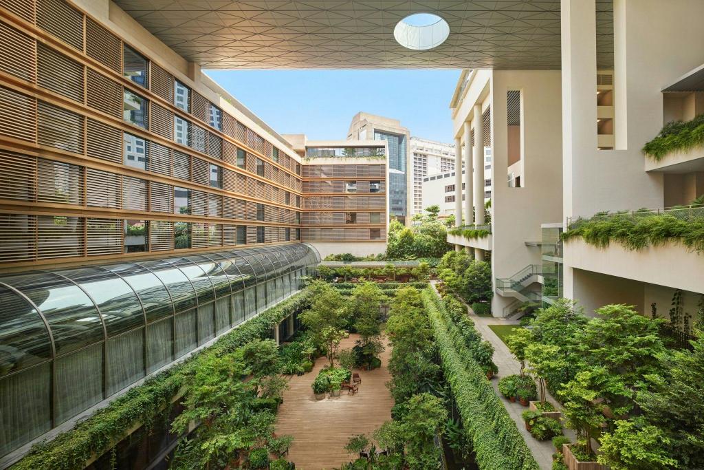 多層の建物に囲まれた植栽の中庭
