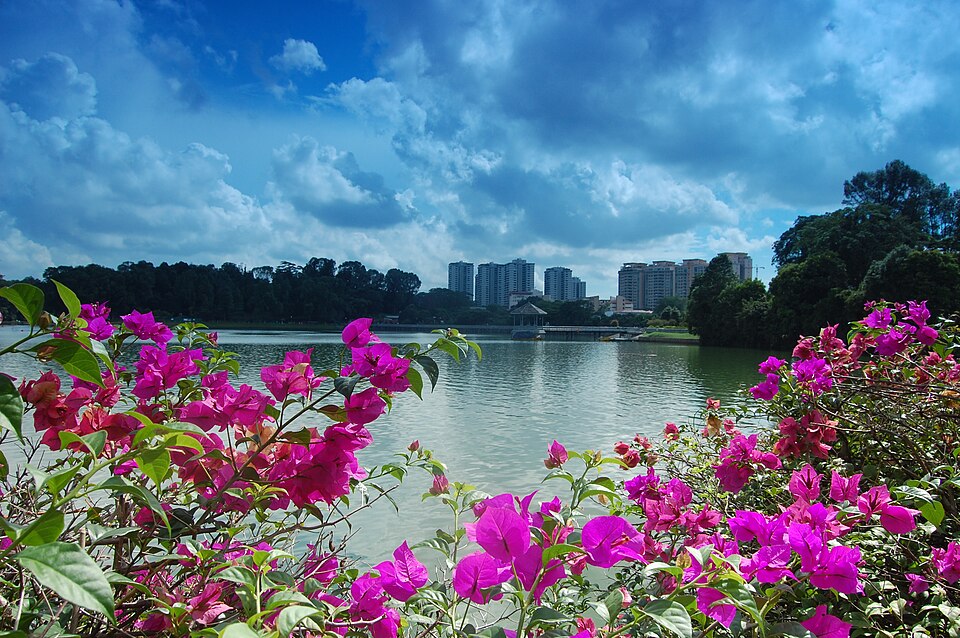 マクリッチ貯水池公園