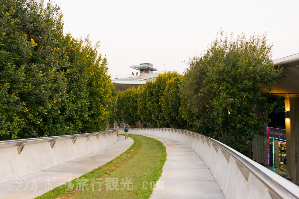 マリーナバラージ近辺・坂道では、ランニングや散歩をしている人達を多くみかけます。