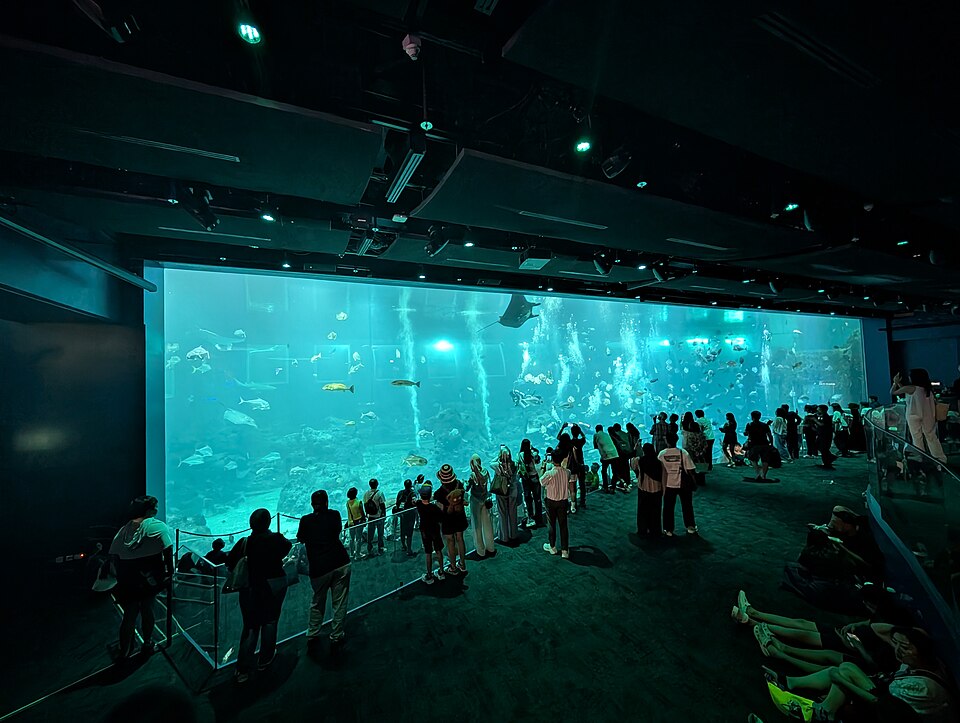 シンガポール・オーシャナリウムのOpen Ocean