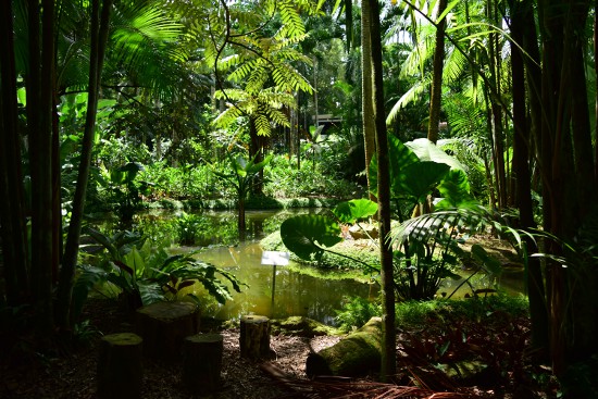 湖もあり、まるでジャングルにいるような体験もすることができます。