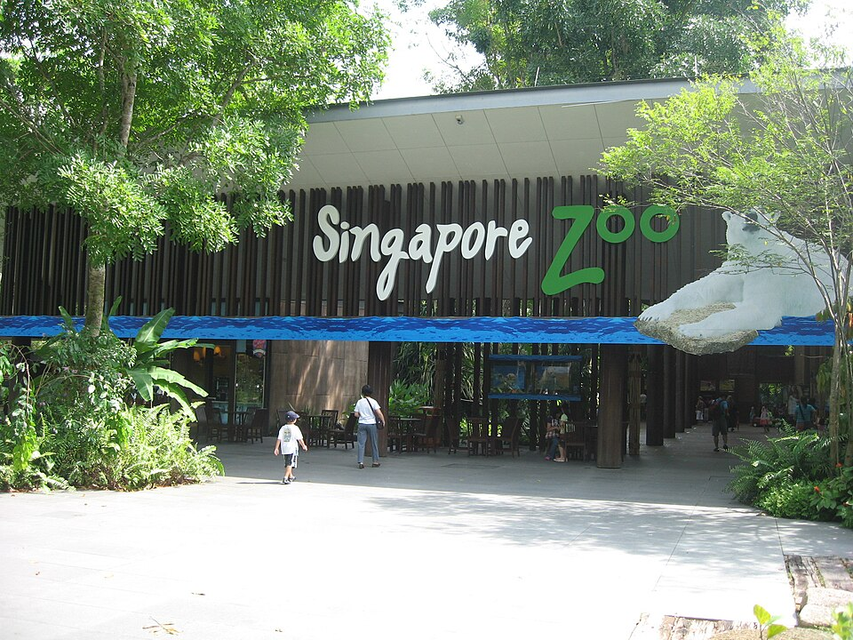 シンガポール動物園