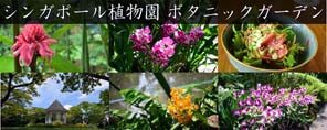 シンガポール植物園:ボタニックガーデン