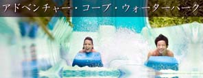 アドベンチャー・コーブ・ウォーターパーク