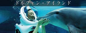 ドルフィン・アイランド