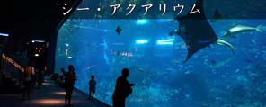 シー・アクアリウム